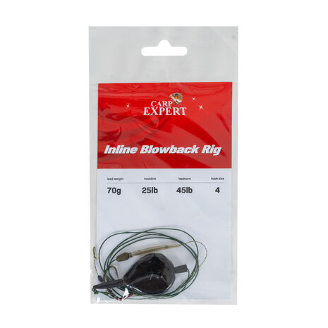 Carp Expert | Inline | Blow-back Rig | 70 gram